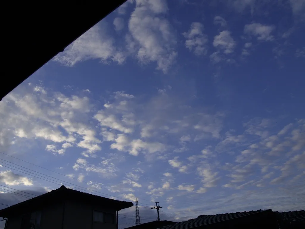 秋の空を美しく撮るコツ|雲の表情で季節を感じる写真術